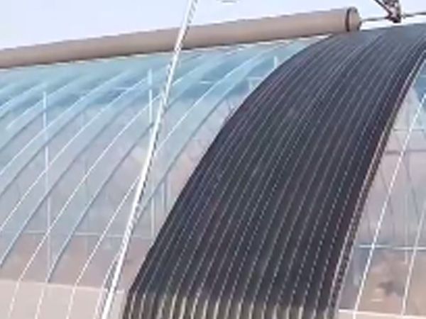 洛陽22米寬拱棚溫室完工